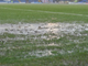 Calcio e recuperi: Pinasca, disavventura per cercare un campo praticabile (in poco tempo...)