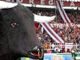 Toro, il grande freddo