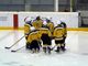 Hockey Ghiaccio: che colpo per l'HC Torino Bulls!