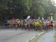 Torino, successo per la prima edizione della #GreenTOur