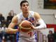 Mirza Alibegovic