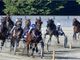 Oggi si gareggia all'ippodromo di Vinovo