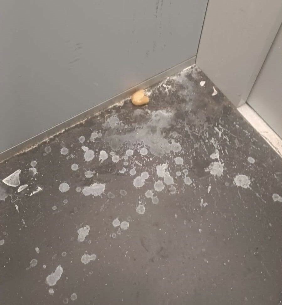 Moncalieri, incivili vandalizzano l'ascensore della passerella di corso Trieste Moncalieri, incivili vandalizzano l'ascensore della passerella di corso Trieste
