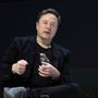 Messaggi estremisti di Grok, xAi di Musk si scusa: &quot;Da ora solo risposte oneste&quot;
