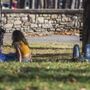 Sole e temperature in rialzo, domina l'anticiclone: le previsioni meteo