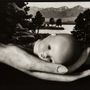 [Photo credits - Ruth Bernhard - Creation, 1936]