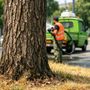 Collegno: irrigazioni straordinarie per proteggere il patrimonio verde Collegno: irrigazioni straordinarie per proteggere il patrimonio verde