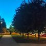 Vandalizzato il parco di Grugliasco dedicato a Falcone e Borsellino