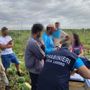Scoperte irregolarità sul lavoro, 25 imprenditori denunciati nel Salento