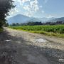 La strada verso l’ecoisola