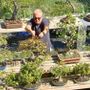 Nicola Scarafia con i suoi bonsai