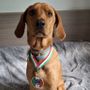 Il cagnolino Spillo