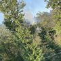 Luserna San Giovanni: fiamme nel bosco del Bric di Bandì