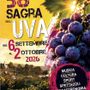 Uva, carri e sapori: Bricherasio brinda alla sua Sagra