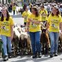 Vent’anni di Poujà: da stasera Bobbio Pellice celebra la salita agli alpeggi