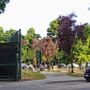 Rigenerazione urbana e presidio fisso, la ricetta per i giardini Maiocco