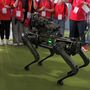 Un cane meccanico si aggira per il Salone del Libro di Torino