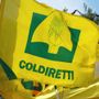 Coldiretti Piemonte: &quot;Serve rafforzare la Pac”