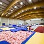Il Pala Ginnastica di via Pacchiotti intitolato a Patrizia Signor