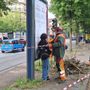 Ancora proteste per il taglio degli alberi in corso Belgio