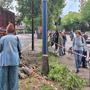 Valanga di firme per salvare gli alberi: la doppia protesta arriva in Comune