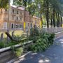 Grosso ramo crolla sulla carreggiata, sfiorata la linea del tram