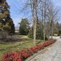Uno scorcio del parco di Villa Widemann