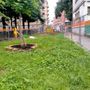 Nuove idee per le aiuole del giardino Alimonda