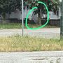 Ancora segnalazioni di abusivi al parcheggio Caio Mario