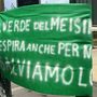 Meisino, presidio davanti al tribunale: “Fermate lo scempio”