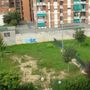 L'area cani delle polemiche in via Pinchia