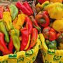 Appuntamento con Coldiretti alla Fiera del Peperone di Carmagnola