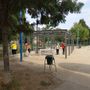 Pulizie in corso al parco Peccei