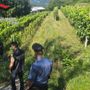 Controlli dei carabinieri contro il fenomeno del caporalato