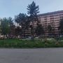 Restyling al mercato di piazza Benefica tra nuovi alberi e pavimentazione: lavori al via entro metà settembre