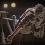 &quot;Sospesi&quot;: il film sulle arti circensi in anteprima al CineTeatro Baretti