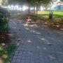 I giardini di via Varallo