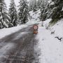 Strada chiusa per neve