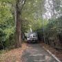 Maxi potatura per gli alberi attorno ai campi sportivi del Carrara