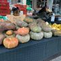 A Santena torna la sagra della zucca
