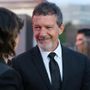 Antonio Banderas sarà ospite al Torino Film Festival Antonio Banderas sarà ospite al Torino Film Festival