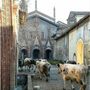 Alla Precettoria di Sant’Antonio di Ranverso , la festa del santo patrono e la benedizione degli animali Alla Precettoria di Sant’Antonio di Ranverso , la festa del santo patrono e la benedizione degli animali