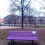 A Carmagnola, una panchina viola per sensibilizzare sulla fibromialgia A Carmagnola, una panchina viola per sensibilizzare sulla fibromialgia