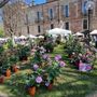 A Carmagnola la festa della primavera tra gusto e natura