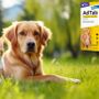 AdTab cane e gatto: come funzionano le compresse antiparassitarie per pulci e zecche