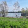 Iniziativa a Falchera legata alla natura