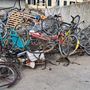 Le bici abbandonate recuperate