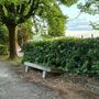 Parco Europa, ipotesi di rilancio per l'ex Casa del Custode Parco Europa, ipotesi di rilancio per l'ex Casa del Custode
