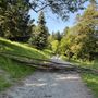 L'albero caduto lungo uno dei sentieri