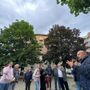 L'appello dei residenti per la potatura degli alberi L'appello dei residenti per la potatura degli alberi